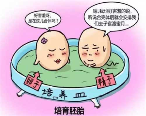 北京供卵代包生孩子多少钱（武汉供卵试管助孕机构）