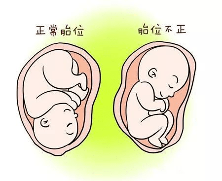 北京供卵供精机构排名，供卵供精是什么意思