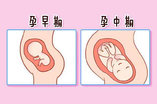 <b>北京三代供卵试管包生双胞胎价格明细？</b>