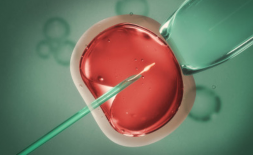 男性16号染色体异常可以做供精试管婴儿吗？