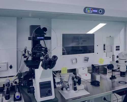 生男生女早知道！民间辨别法真的靠谱吗？