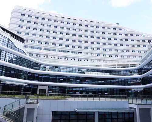 上海红房子可以做三代试管婴儿吗？试管成功率是多少？