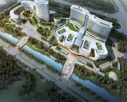 青海试管回答你移植后怎么做