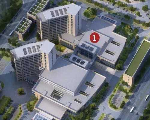 怀孕基础体温多少度