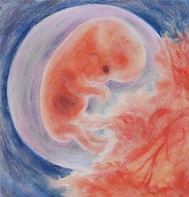 女子代孕4个月，胎儿竟长在孕妈的肝脏上