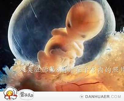 北京代孕生孩子：从排卵到怀孕需要几天若你出