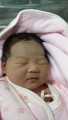 国内北京代孕成功率是多少 ,科学备孕：孕前女性