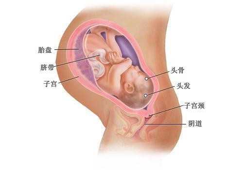 没有卵巢可以做北京代孕吗,产前大出血造成流产