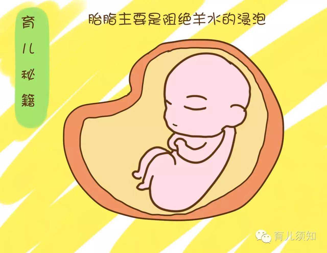北京代孕_北京代孕生殖专家_北京代孕容易出现什