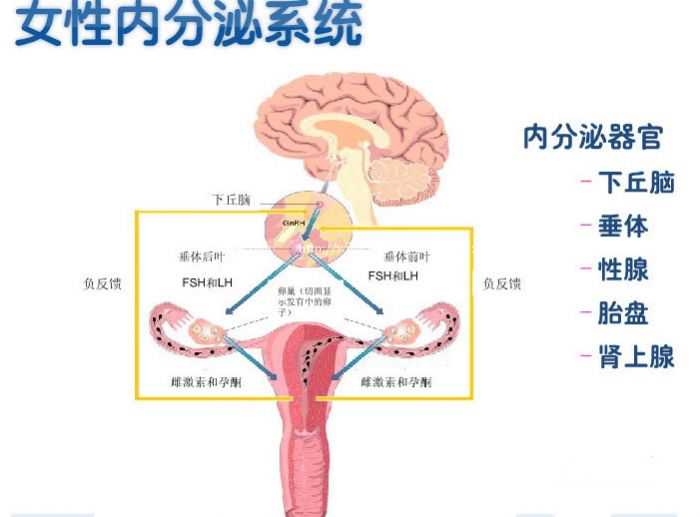 北京供卵生子-北京代孕妈妈哪里有-北京代孕包成功双胞胎