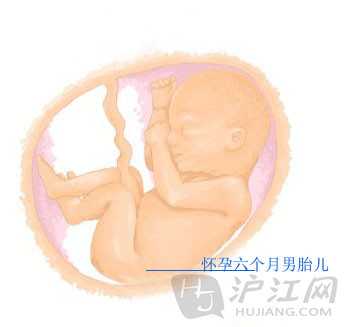 北京代孕需要多大年龄_卵巢巧克力囊肿的原因有哪些，常见症状是什么