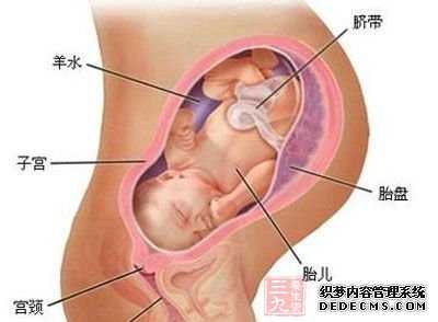 北京试管代孕对女性的年龄_北京44岁供卵的成功率