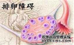 试管代孕多长时间-中国试管代孕成功率_试管代孕代孕违法吗-供卵试管包成功吗