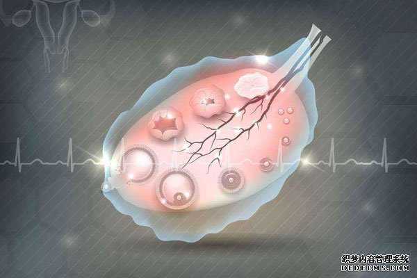 胚胎供卵试管协议-做三代试管代孕的条件_哪有做试管代孕-试管代孕多少费用