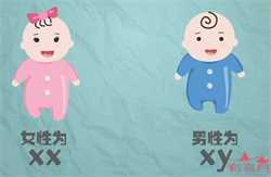 北京哪些人可以代怀，试管婴儿30年：能阻断遗传病可冻卵冻胚胎