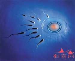 北京国内私立供卵医院，做试管婴儿成功怀孕，16周唐筛胎儿双侧脉络丛囊肿，