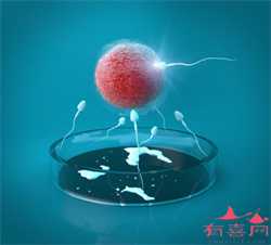 北京供卵有自己的基因吗，8大孕前检查夫妻必不可少
