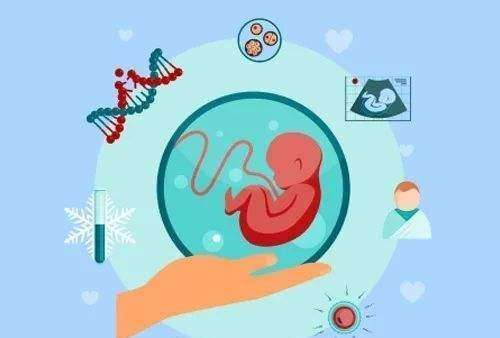 北京供卵自怀，孕妇缺维生素D对胎儿有什么影响