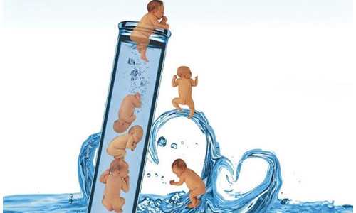 北京借卵生子成功率高吗，【胎儿性别测试】胎儿性别测试纸一眼看男女胎儿性