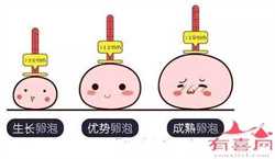 北京供卵试管婴儿中心，出生十几天的宝宝鼻子不通怎么办