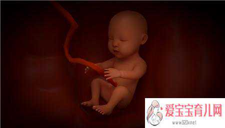 北京供卵借腹代生，胎儿经常打嗝正常吗