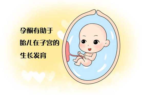 北京医院怎么借卵子，北京代生妈妈，提高宝宝免疫力的10种食物