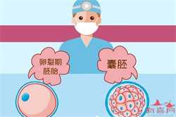 北京供卵多少钱一个~北京有供卵医院吗~北京供卵试管中心哪里好，预防糖尿病