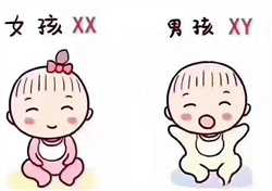 台湾试管婴儿可以选男女吗,台湾做试管婴儿要结婚证吗?台湾第三代试管可以选
