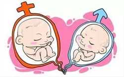 厦门174医院生殖科可以做三代试管婴儿选男女性别吗？