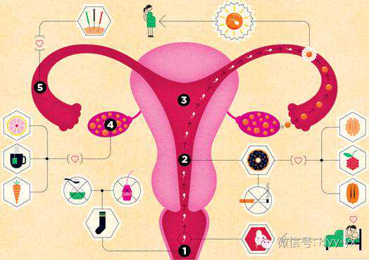 孕期检查女人必看！孕早期卵巢囊肿－－千万要小心！