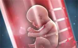 北京代孕捐卵医院，北京供卵三代试管婴儿医院排名？生男孩医院推荐？