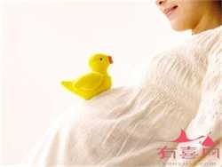 北京哪里供卵机构，北京哪里有助孕机构？怎么找，北京几大助孕机构各有何特