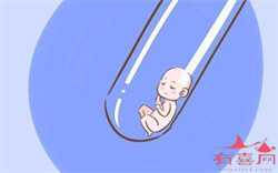 北京正规借卵试管的价格，在北京做试管婴儿得多少钱？价格贵不贵？