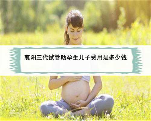 襄阳三代试管助孕生儿子费用是多少钱